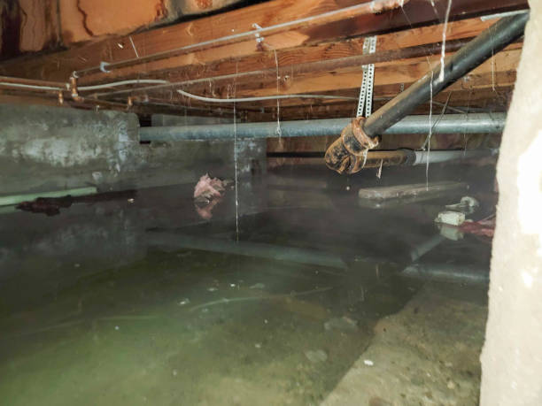 Best Local water damage restoration  in Jefferson, OH