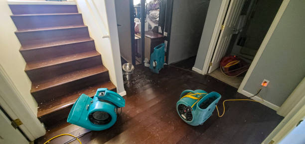 Best Water damage restoration insurance claims  in Jefferson, OH
