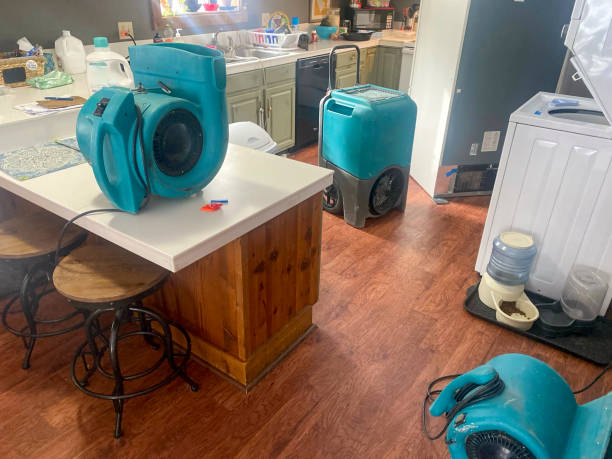 Best Mold removal after water damage  in Jefferson, OH