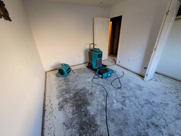  Jefferson, OH Water damage restoration Pros