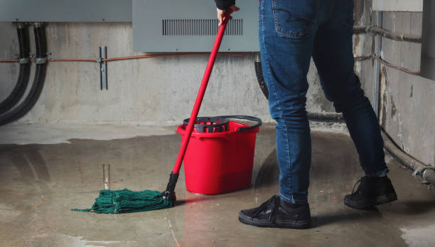 Best Professional water damage repair  in Jefferson, OH