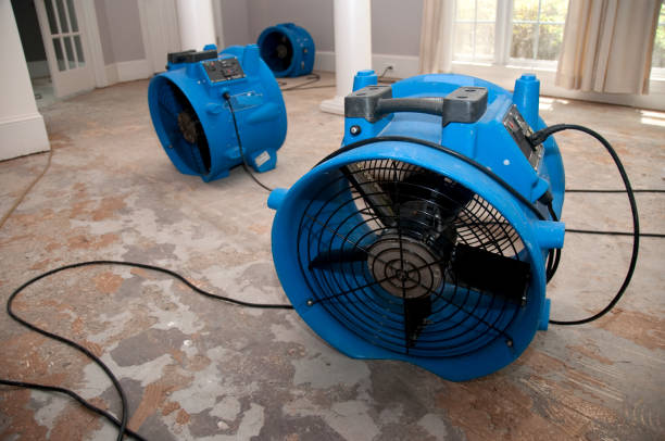 Reliable Jefferson, OH Water damage restoration Solutions