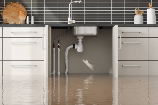 Professional Water damage restoration in Jefferson, OH